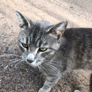 lukasballavance avatar