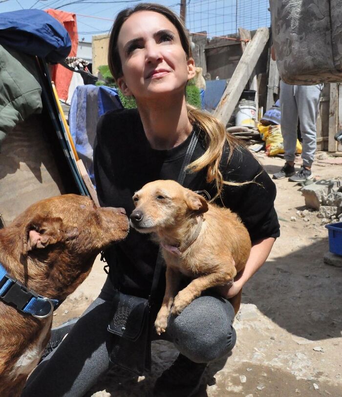 This Pit Bull Was Horrifically Abused For 10 Years Before He Found His Peace When Taken Into The Hands Of Kind-Hearted People This Pit Bull Was Horrifically Abused For 10 Years Before He Found His Peace When Taken Into The Hands Of Kind-Hearted People