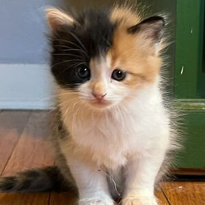 nobodybetterlayafingeronmybutt avatar