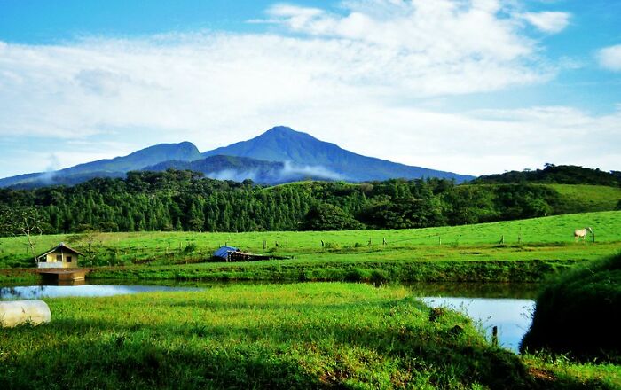 40 Of The Strangest Wishes That The Make-A-Wish Foundation Actually Granted, As Shared By People Online