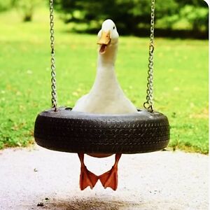 cooldude123yeahx avatar