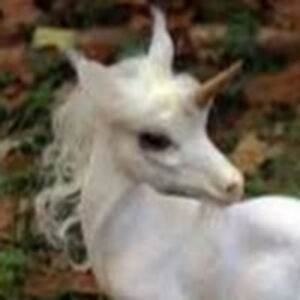 oliviasmith_10 avatar