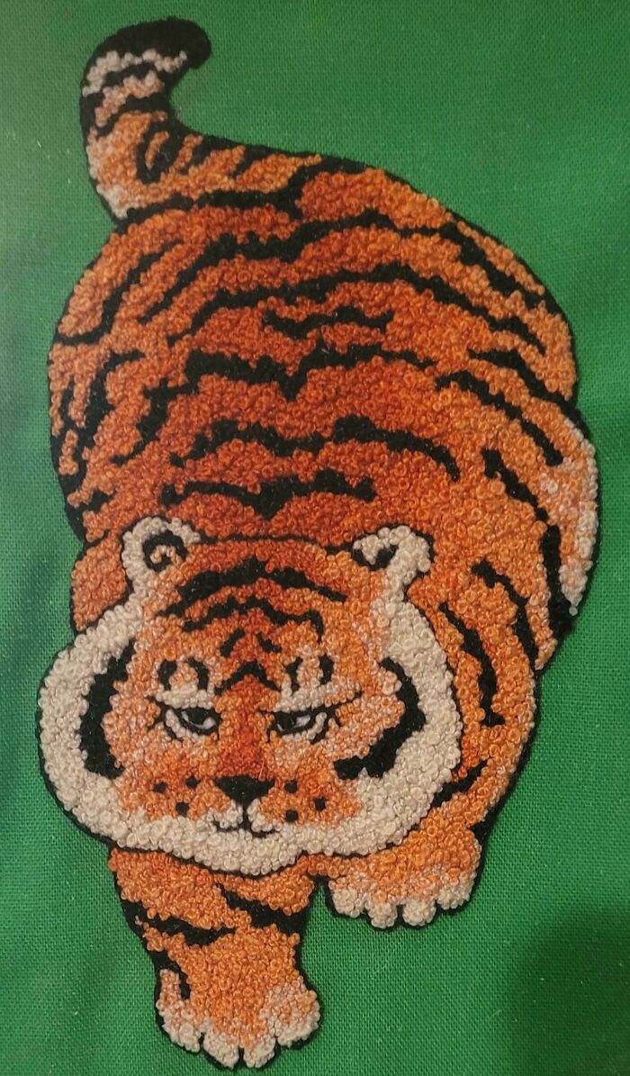 A Chonky Tiger