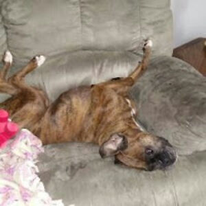 phyllisjones_1 avatar