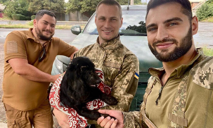 Uaarmy-Animals-Instagram