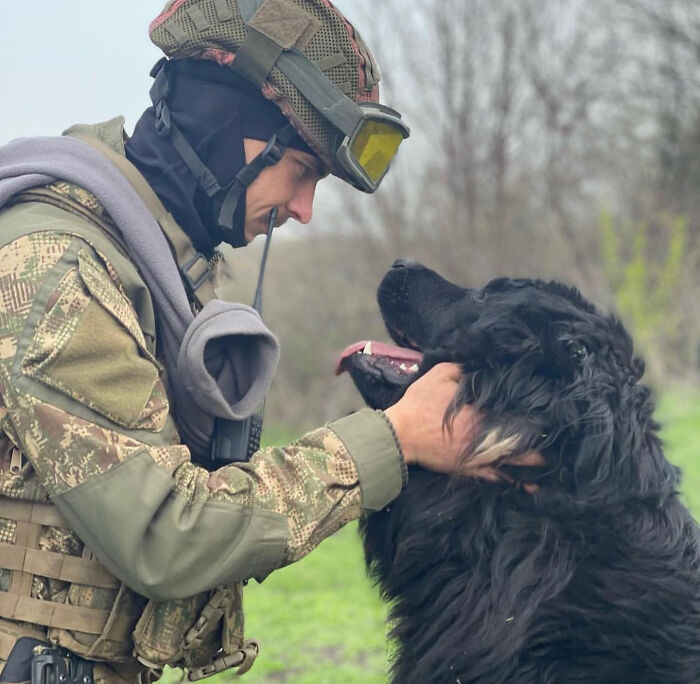 Uaarmy-Animals-Instagram