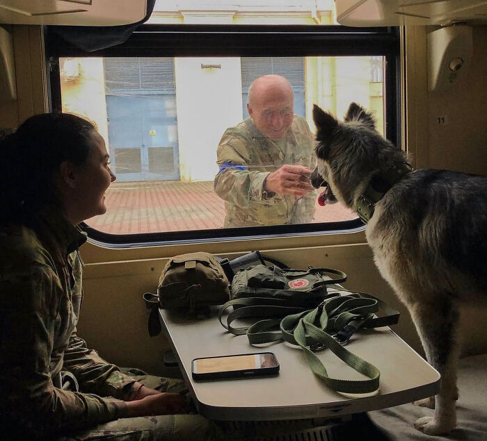 Uaarmy-Animals-Instagram