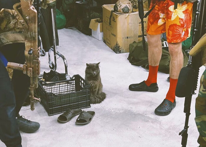 Uaarmy-Animals-Instagram