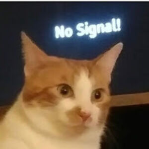 bethanysprencel avatar