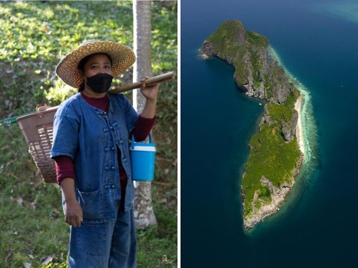 Gardener - Mosquito Island