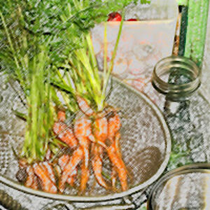 mistywilliams avatar