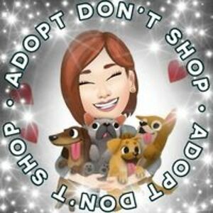 malindagibson1964 avatar