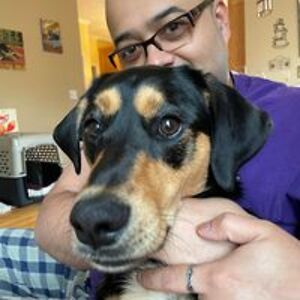 sayantanbose2008 avatar