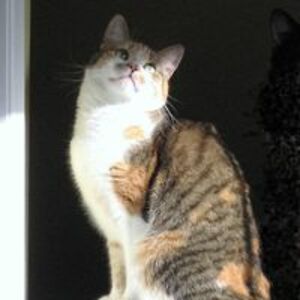 pollyseeton26 avatar