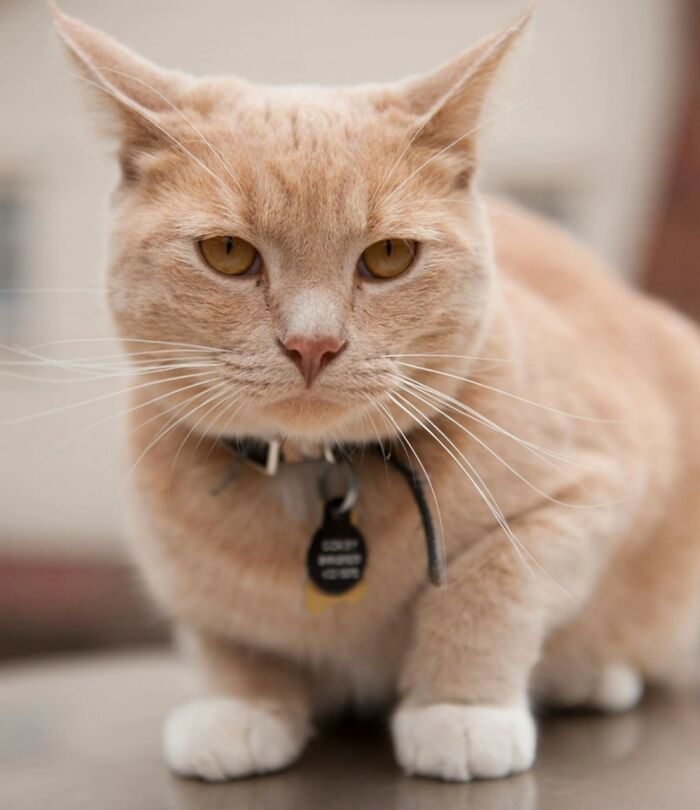 This Is Minnie. Minnie Sees You