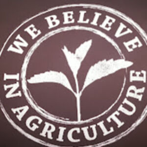 notasaltfarmer avatar