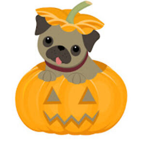 lilyfine-albert avatar