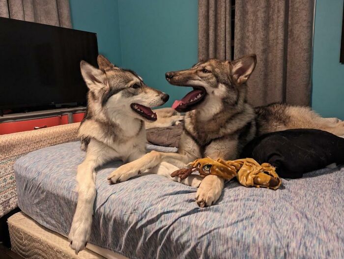 A Couple Of Trouble Makers