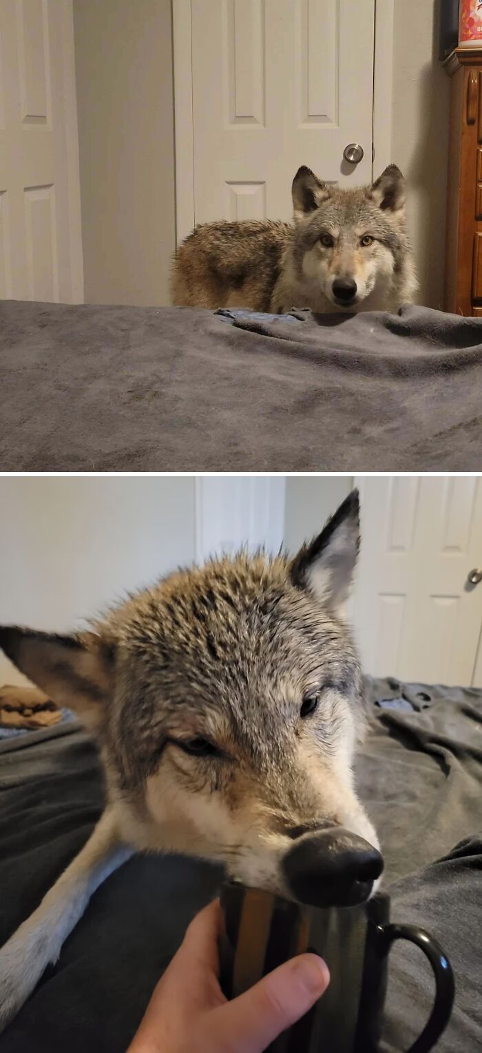 Compartir es cuidar de los demás