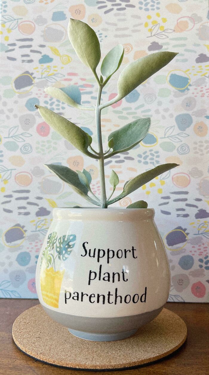 My Wonderful Husband's Gift To Me Is To Express His Support For Women's Rights. He Is A Man Of Little Words, Fierce Ethics, And Limitless Love