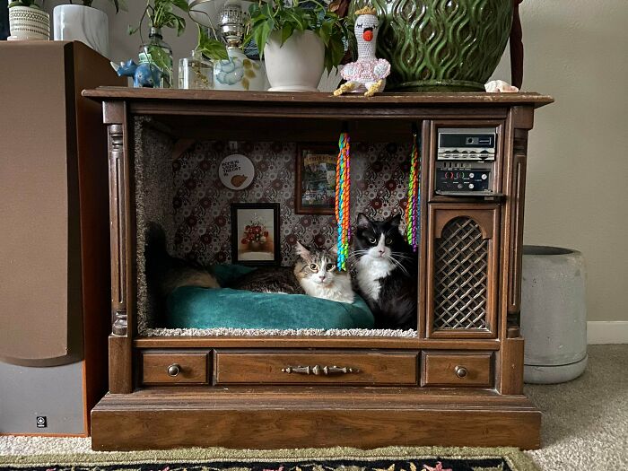 Found An Old Tube TV By The Trash. Now My Cats Have A New Spot!