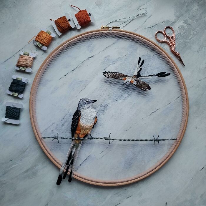 Bird Embroidery On Tulle Featuring Barbed Wire. 12" Hoop