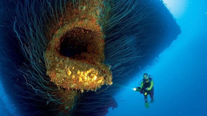 Anchor Hole To A Sunken Us Warpship