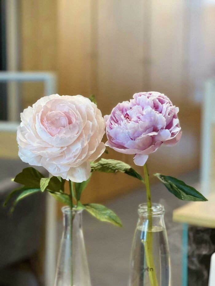 My Paper Peony And A Real One