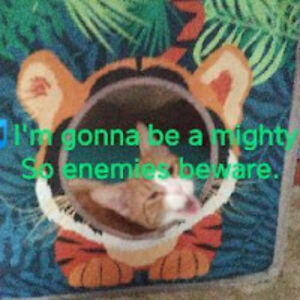 therealsaints_rf avatar