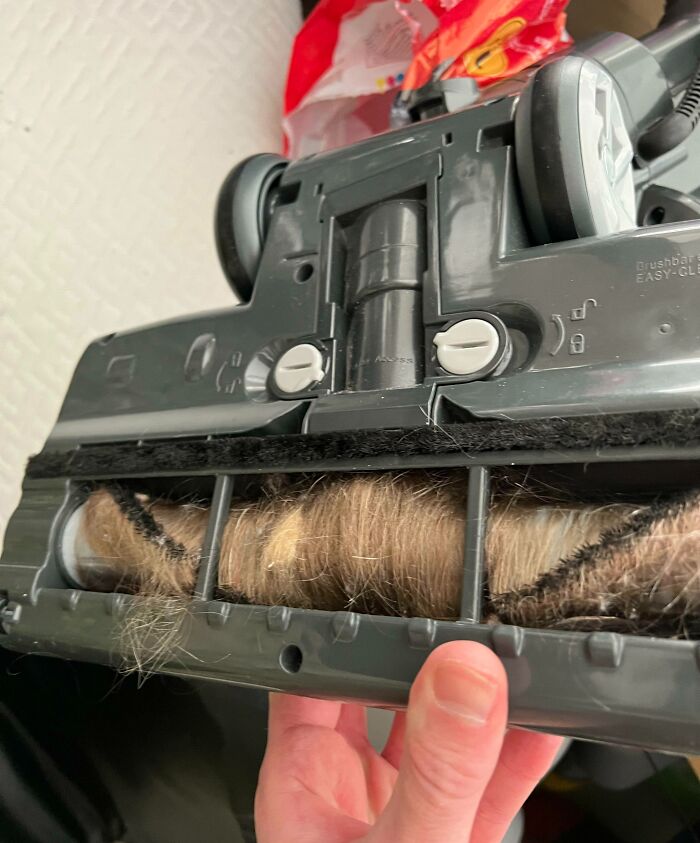 My Wife Looks At Me Like I'm Crazy When I Tell Her The Vacuum Has To Be Cleaned Regularly