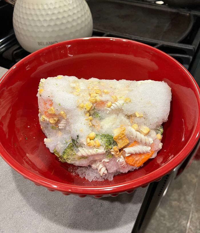 My Partner Is Sure That “Frozen Food Doesn’t Go Bad”