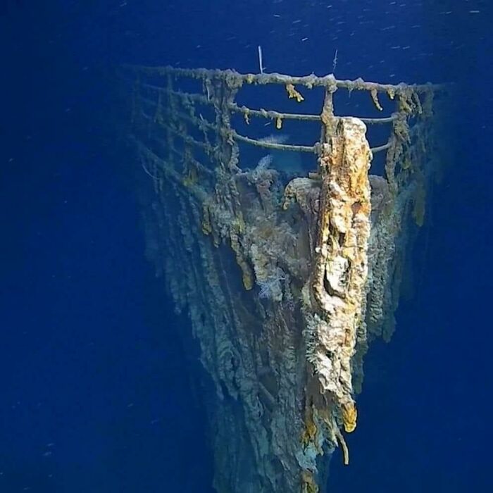 Sunken shipwreck covered in marine growth deep underwater, one of the frightening pics that make us want to avoid the ocean.