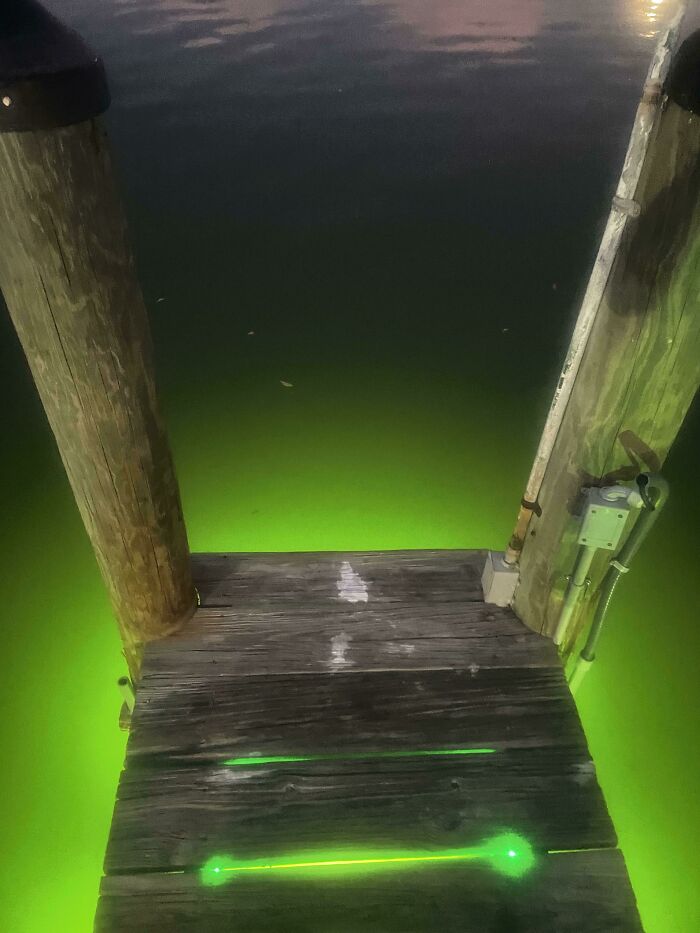 Glowing green light under a wooden dock at night creating a frightening ocean atmosphere.