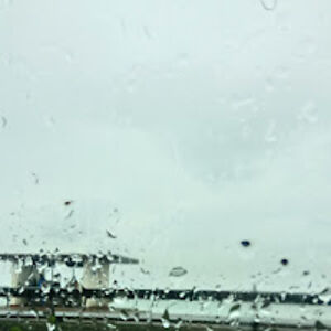 princessbump7 avatar