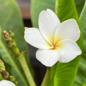 jeffrey_chastain avatar