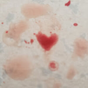 the_last_ones_left_us avatar