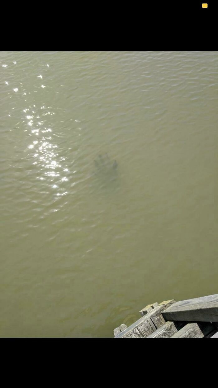 Faint hand shape visible underwater near wooden dock, creating frightening ocean scene with eerie unclear figure.
