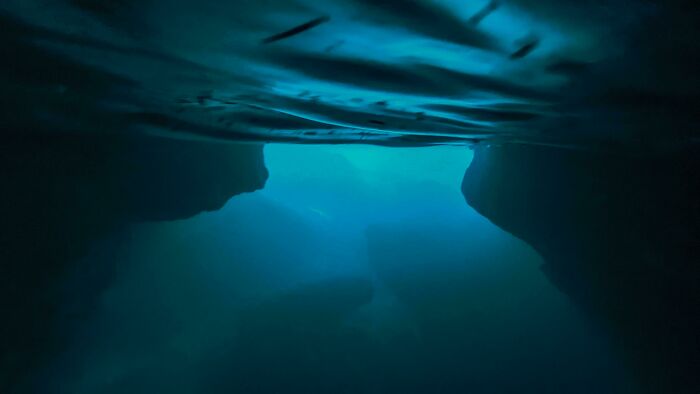 Just Took This One And Thought You'd Like It