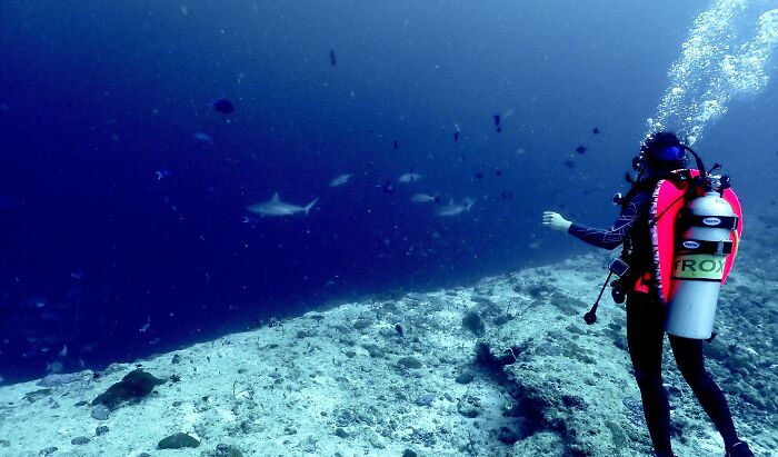 105 Feet Down Staring Over The Edge Of A Drop Off