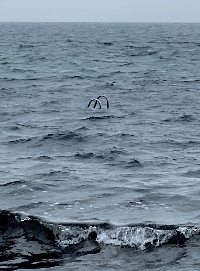 A Swimming Ladder To Thalassophobia