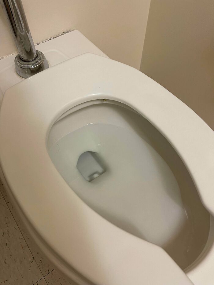 Discovered A New Fear Today