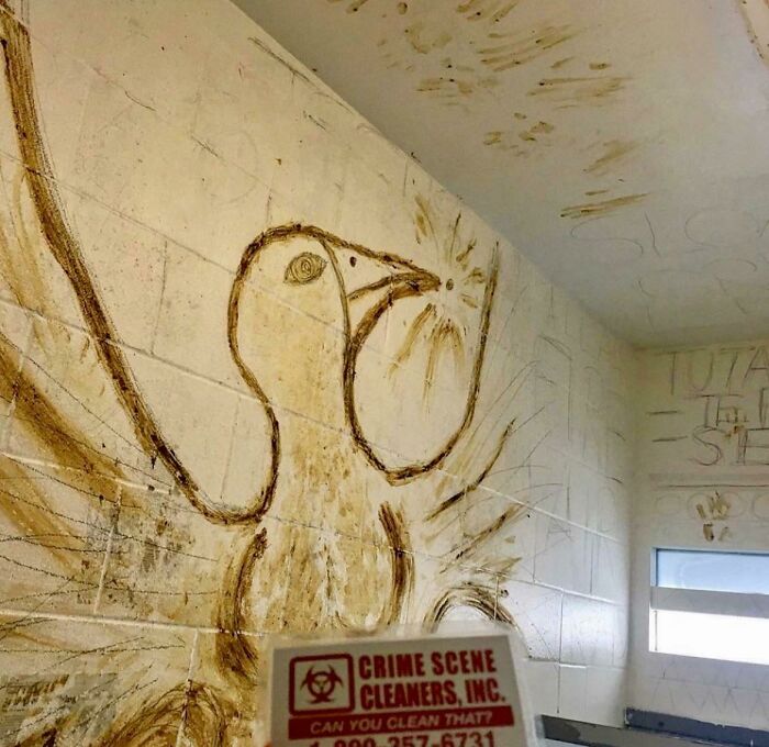 Insane Asylum Wall Art