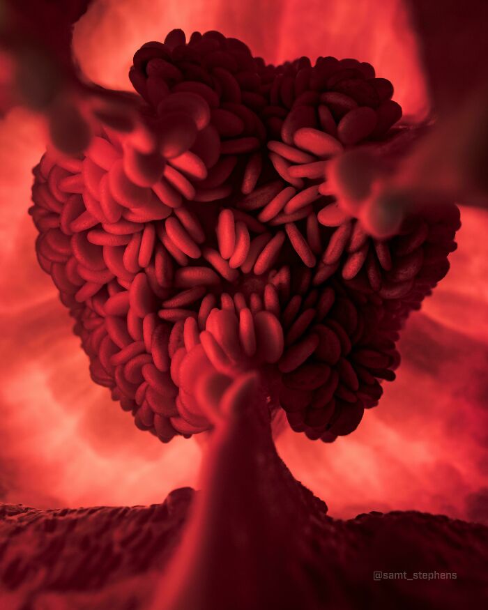 ITAP Of A Red Bell Pepper