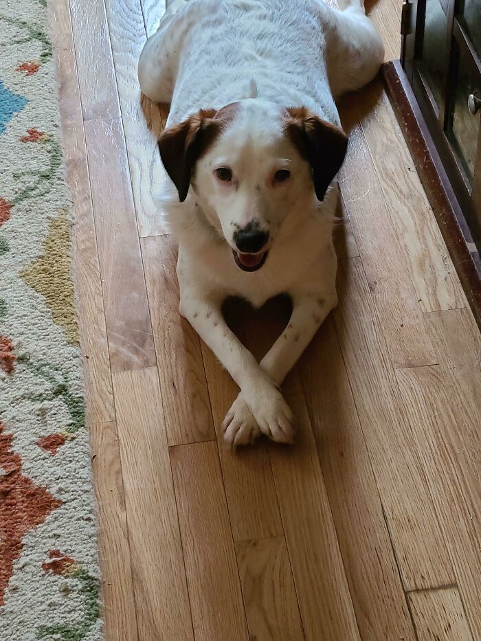 No puedo creer que haya capturado esto