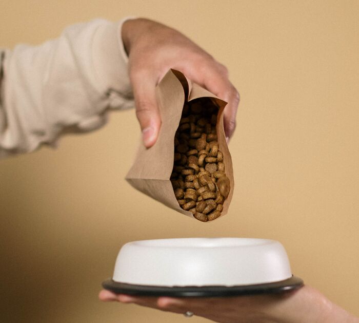 Person Pouring Dog Food Into A Bowl