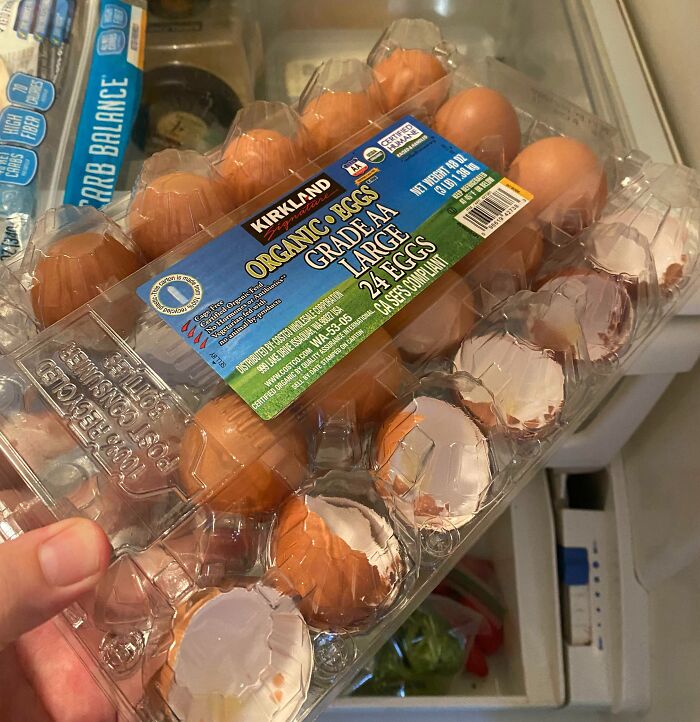 My Wife Insists This Is Normal