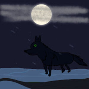 10ditto10gaming avatar