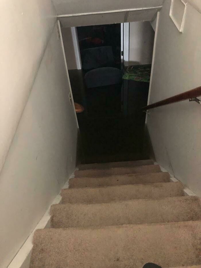 My Own Submechanophibia, That's 4 Feet Deep Raw Sewage In My House