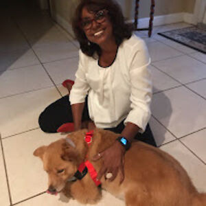 sandravenicesingh avatar