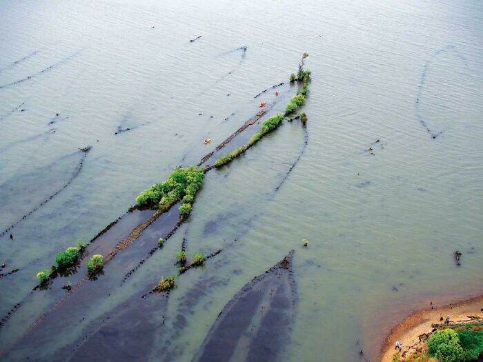 The 'Ghost Fleet' Of Mallows Bay, Maryland. A Fleet Of Hundreds Of American Ships Built Of Wood Due To Wartime Steel Shortages. Most Of These Ships Were Obsolete Upon Project Completion After The End Of The War And Left To Rot